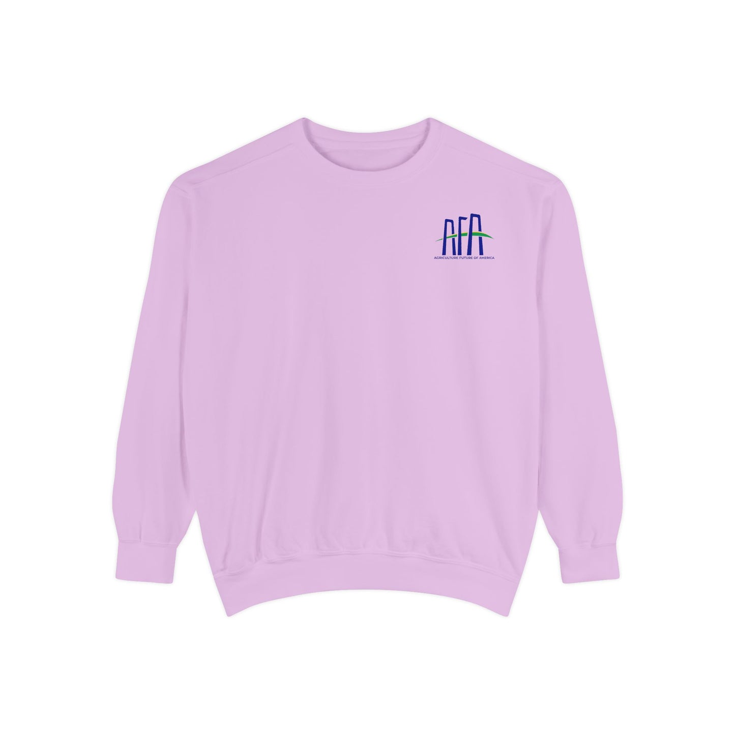 AFA Leaders Conference 2025 Crewneck