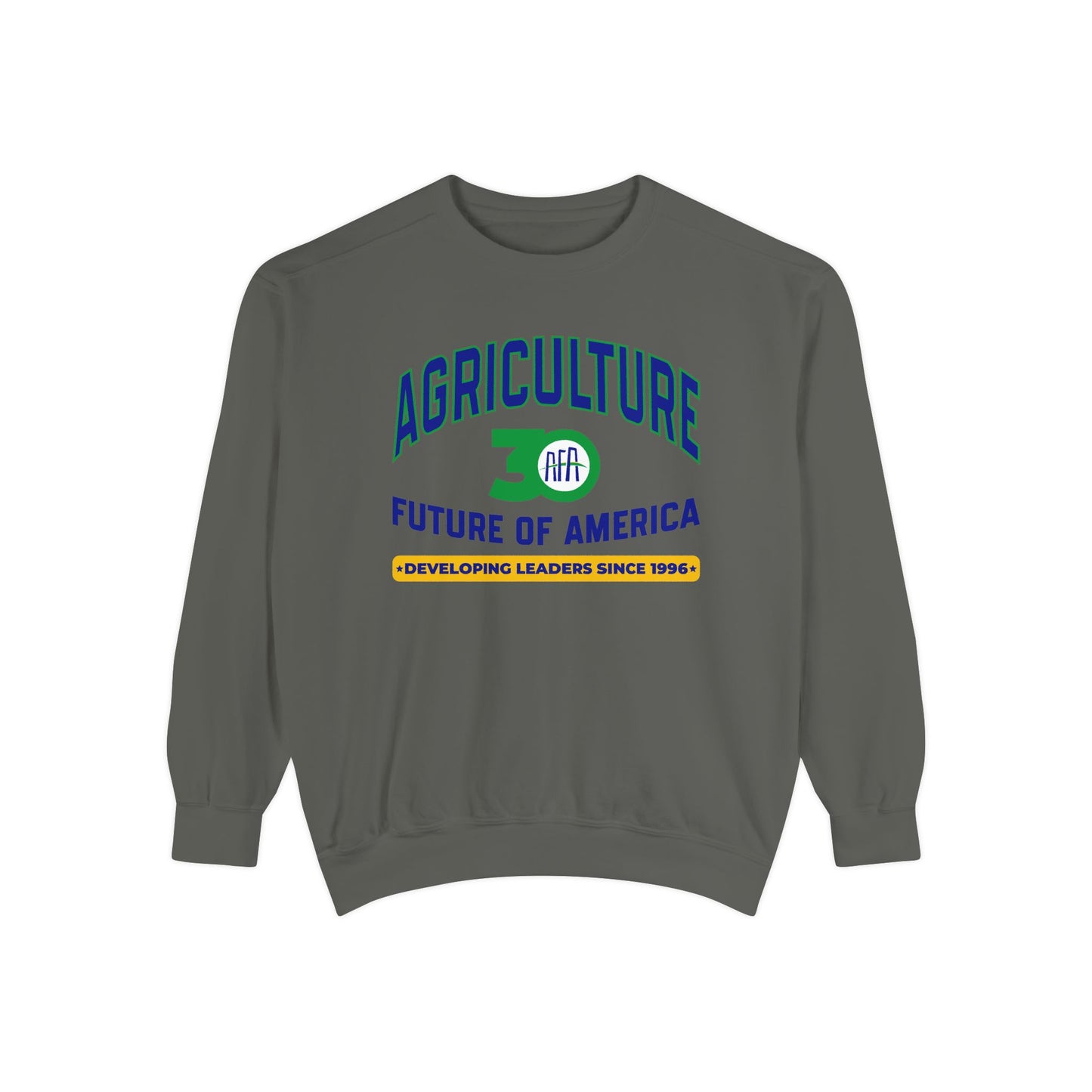 Vintage Graphic (Crewneck) - AFA 30th Anniversary