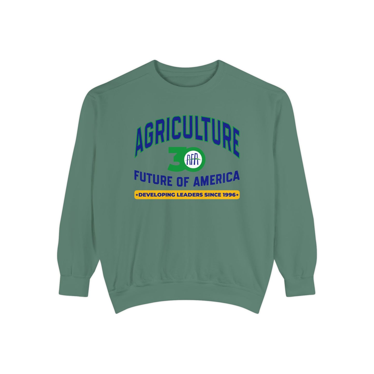 Vintage Graphic (Crewneck) - AFA 30th Anniversary