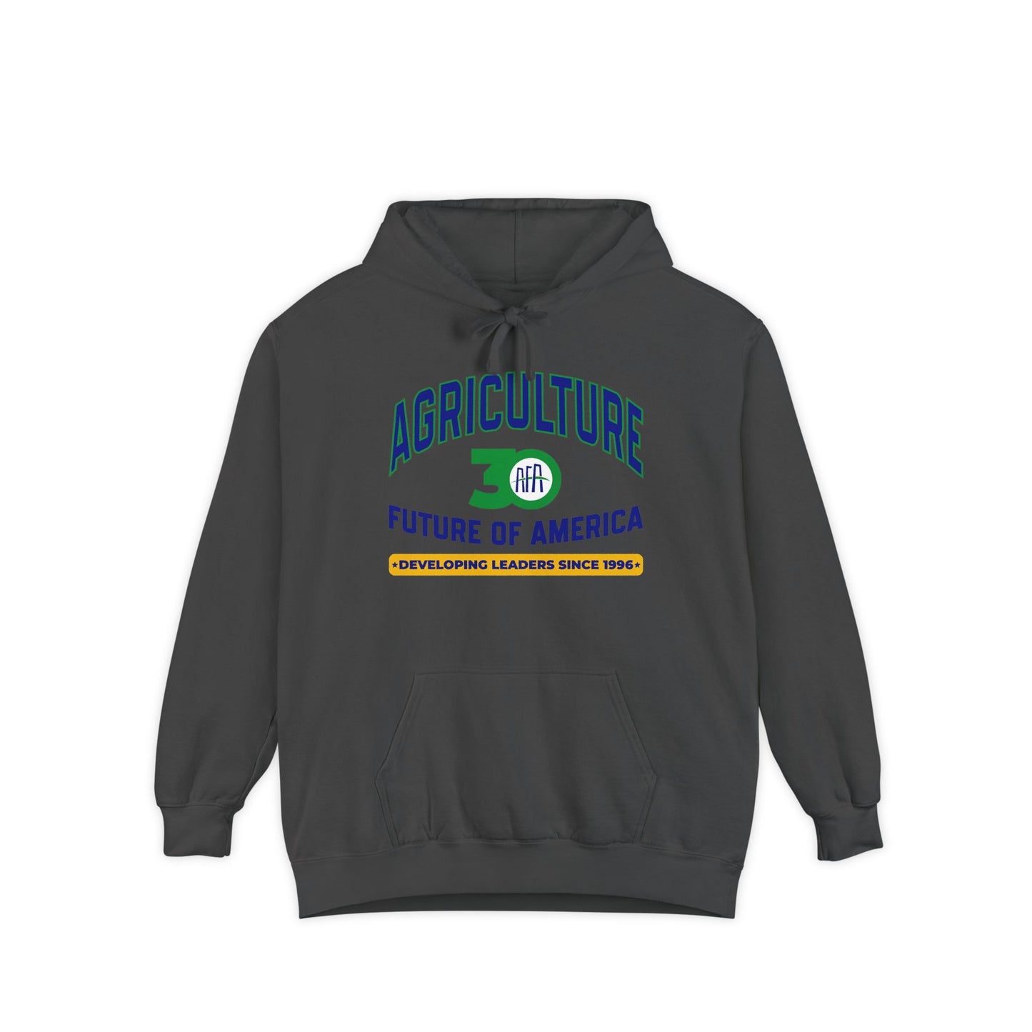 Vintage Graphic (Hoodie) - AFA 30th Anniversary