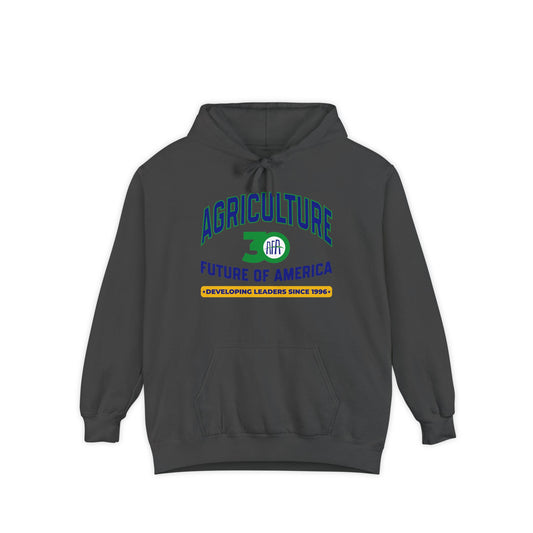 Vintage Graphic (Hoodie) - AFA 30th Anniversary