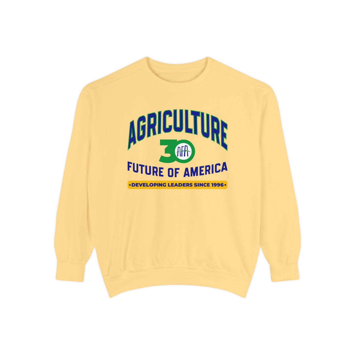 Vintage Graphic (Crewneck) - AFA 30th Anniversary