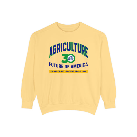 Vintage Graphic (Crewneck) - AFA 30th Anniversary