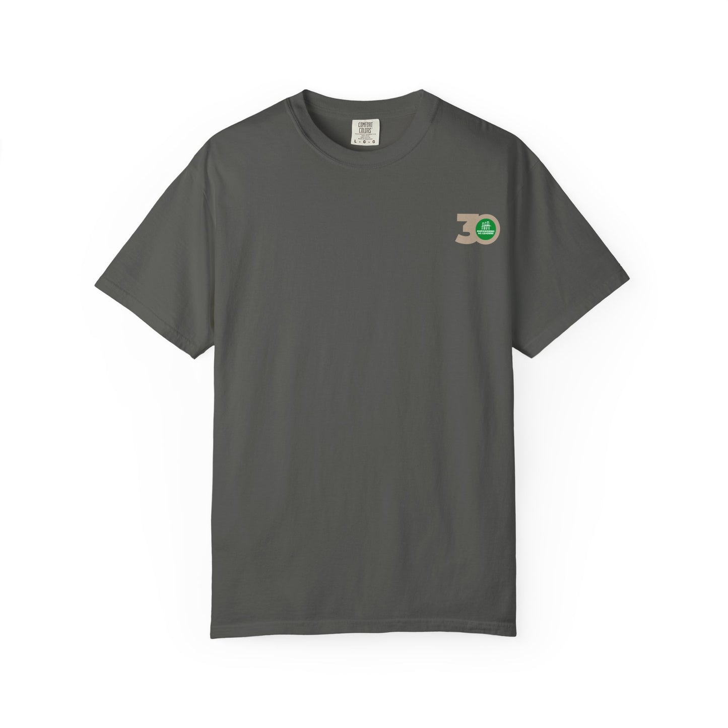 Food Systems Institute T-Shirt