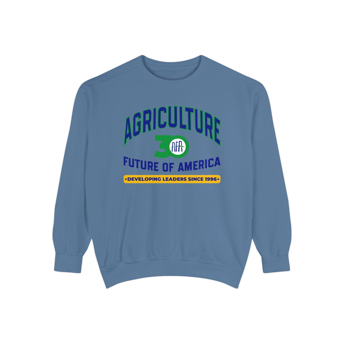Vintage Graphic (Crewneck) - AFA 30th Anniversary