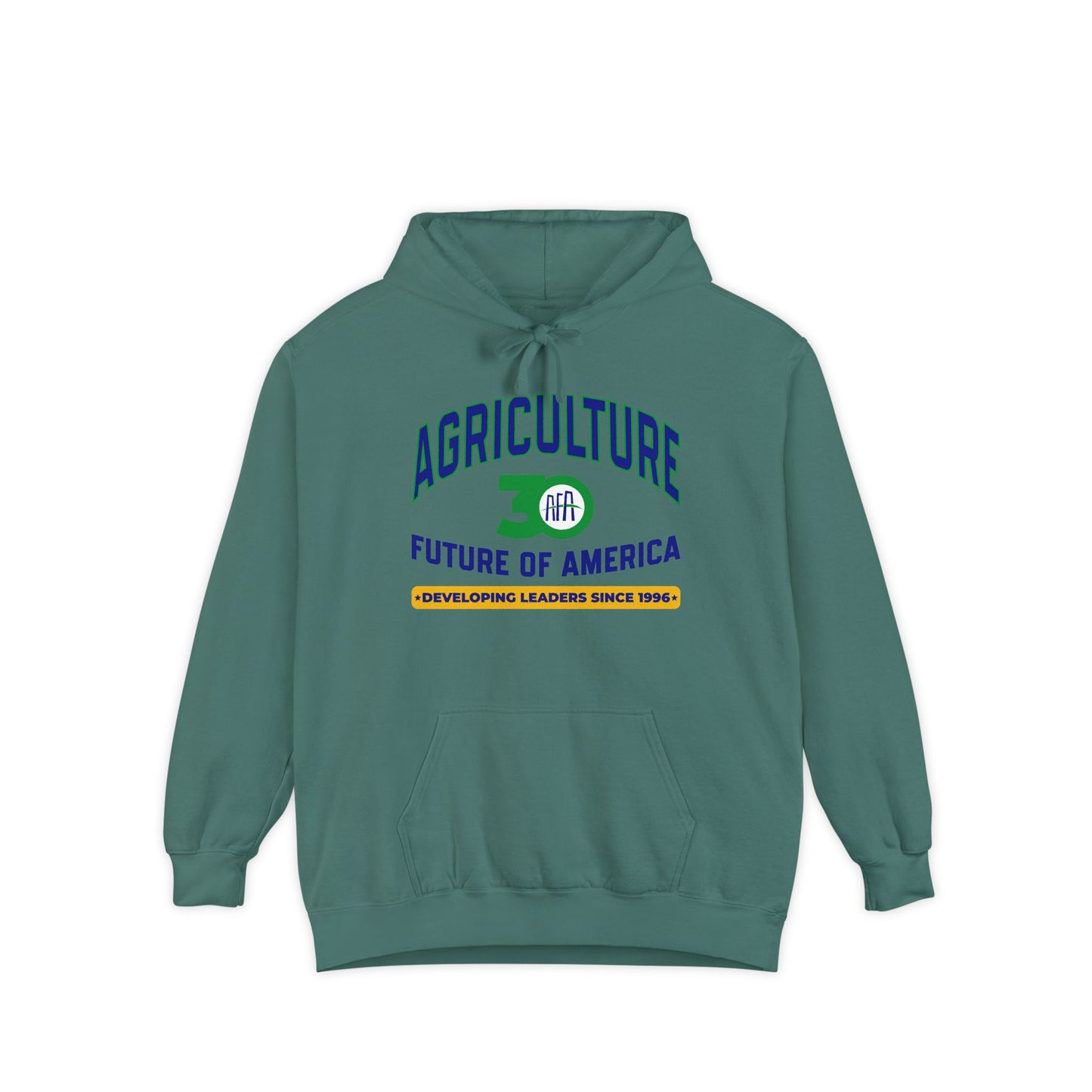 Vintage Graphic (Hoodie) - AFA 30th Anniversary