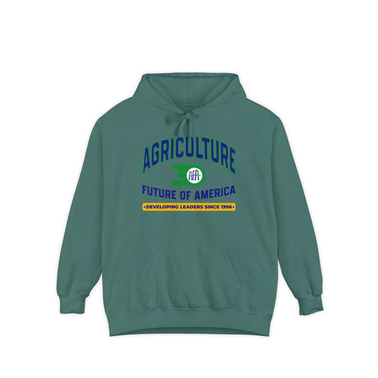 Vintage Graphic (Hoodie) - AFA 30th Anniversary