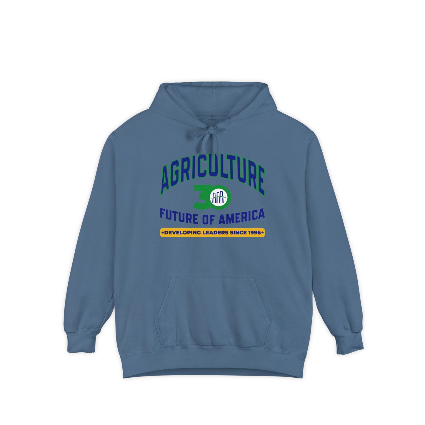 Vintage Graphic (Hoodie) - AFA 30th Anniversary